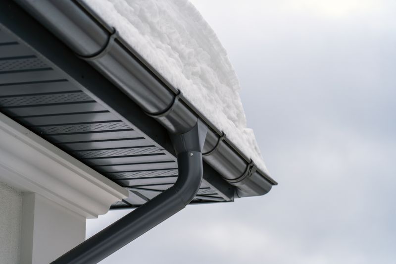 Winter Gutter Cover Inspection