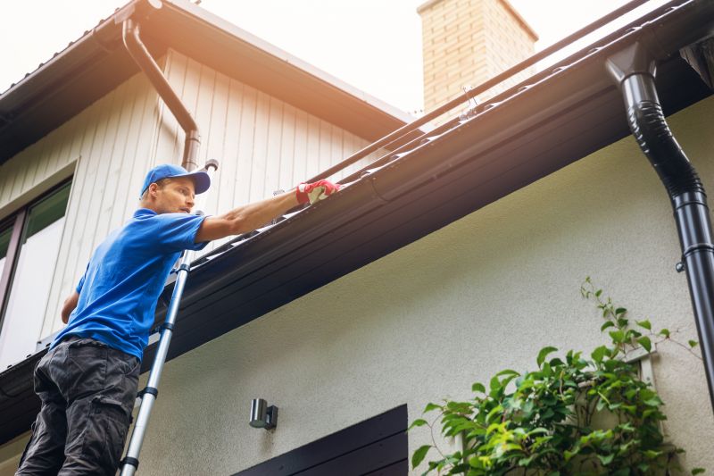 Gutter Maintenance in Spring